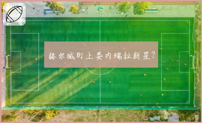 赫尔城盯上委内瑞拉新星？