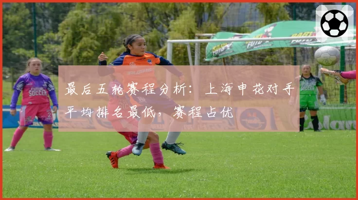 最后五轮赛程分析:上海申花对手平均排名最低,赛程占优
