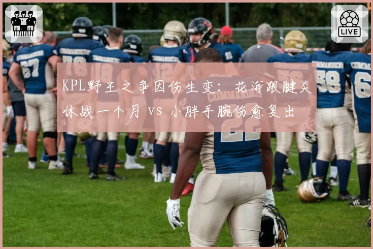 KPL野王之争因伤生变：花海跟腱炎休战一个月 vs 小胖手腕伤愈复出状态火热