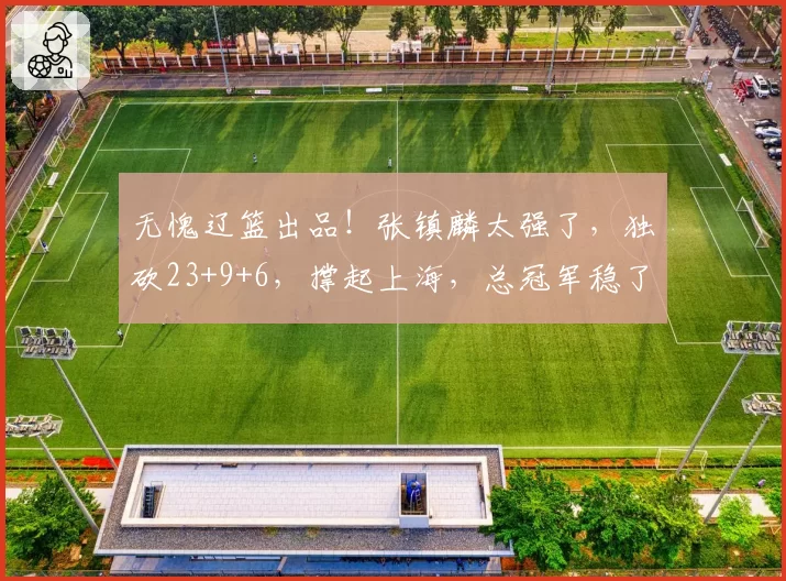 无愧辽篮出品！张镇麟太强了，独砍23+9+6，撑起上海，总冠军稳了