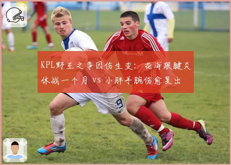 KPL野王之争因伤生变：花海跟腱炎休战一个月 vs 小胖手腕伤愈复出状态火热